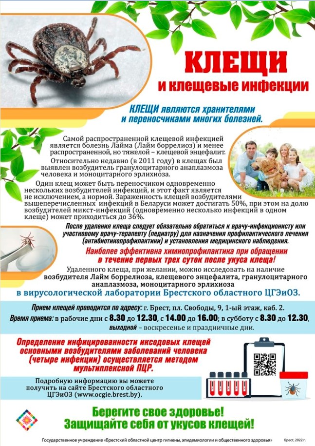 klesh_site_02