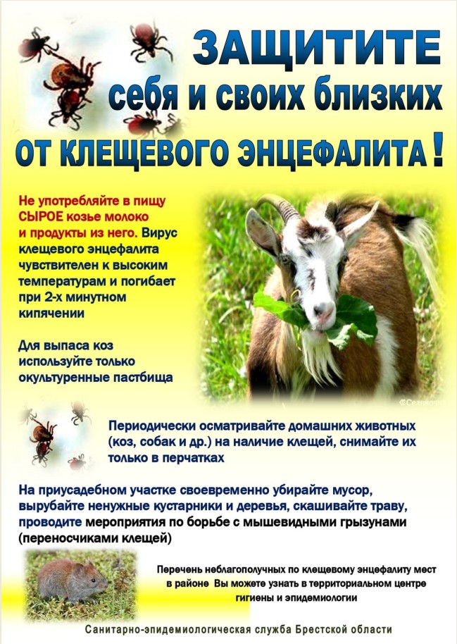 klesh_site_03